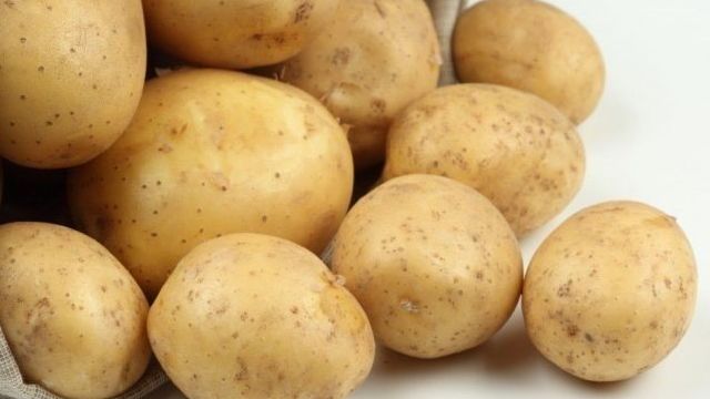 Сорт картофеля Адретта: характеристики клубней, урожайность, срок созревания