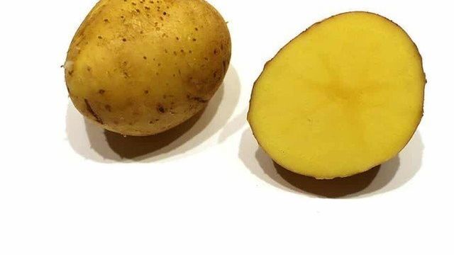 Сорт картофеля Бельмондо: ботаническое описание, характеристика урожайности