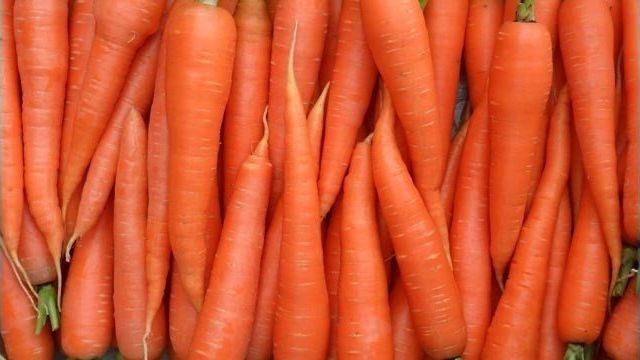 Морковь алтайская лакомка: описание, характеристика сорта, отзывы садоводов