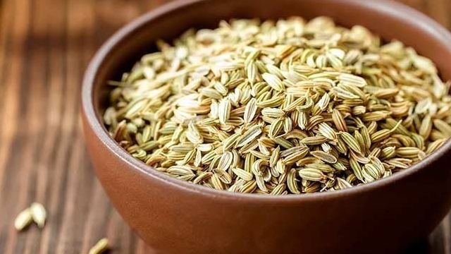 Семена укропа: лечебные свойства и противопоказания, применение в кулинарии, народной медицине